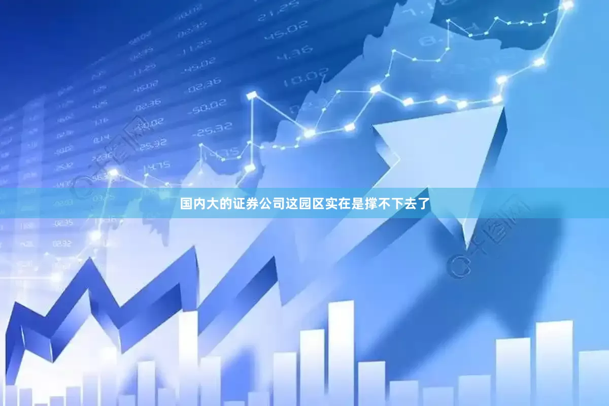 国内大的证券公司这园区实在是撑不下去了