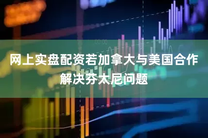 网上实盘配资若加拿大与美国合作解决芬太尼问题