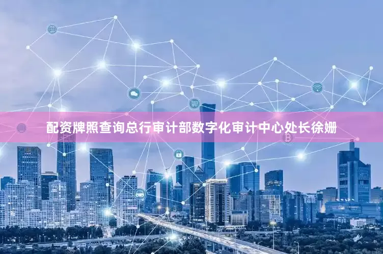 配资牌照查询　　总行审计部数字化审计中心处长徐姗