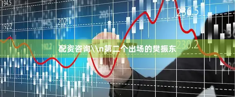 配资咨询\n第二个出场的樊振东