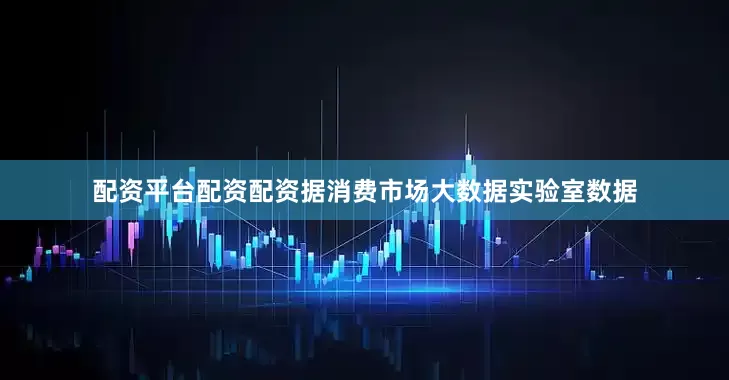 配资平台配资配资据消费市场大数据实验室数据